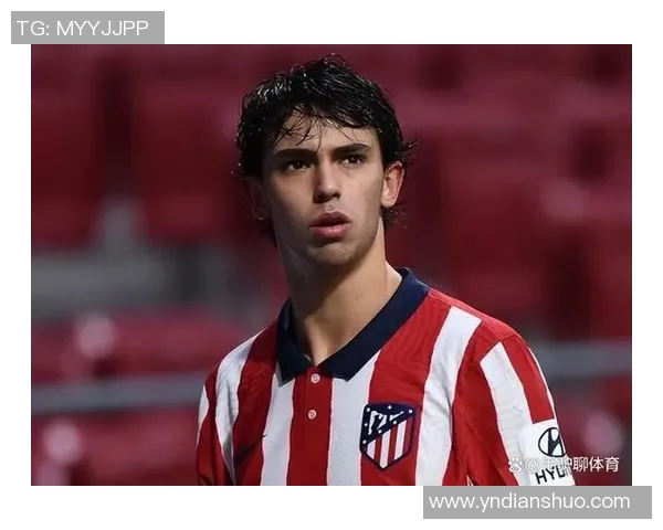 沙德尔：从街头少年到世界足坛明星的成长之路